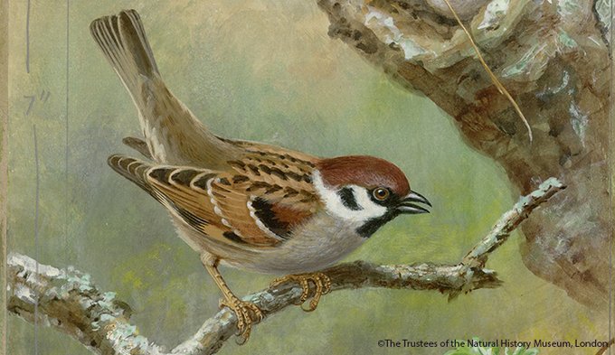 View image on Twitter