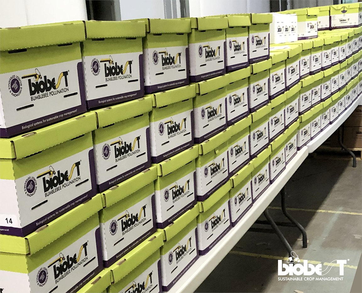 Biobest North America tweet media