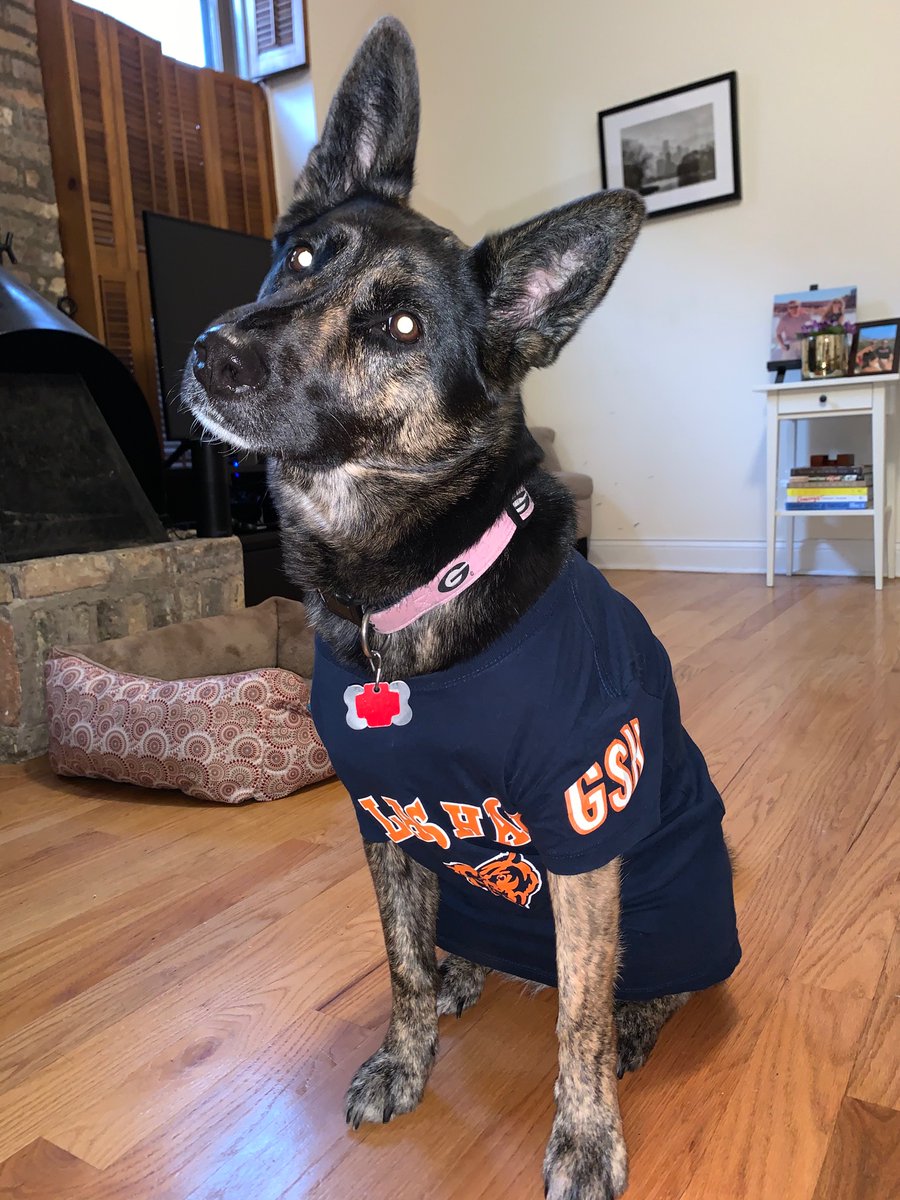 adrienne1st's tweet photo. @ChicagoBears Good girls and boys only 🐶 https://t.co/hOHoHuuzPQ