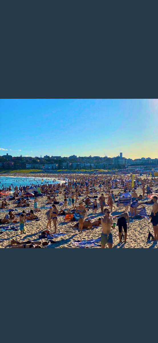 Lisa Wilkinson tweet media