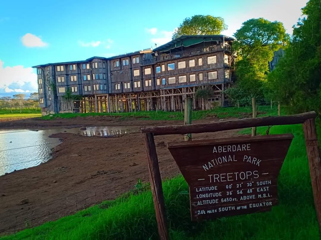 Treetops Lodge was built as a tree house, 80+ years ago.
The hotel is known as the location where Princess Elizabeth acceded to the thrones of the United Kingdom upon the death of her father, King George VI while she was staying there in 1952.