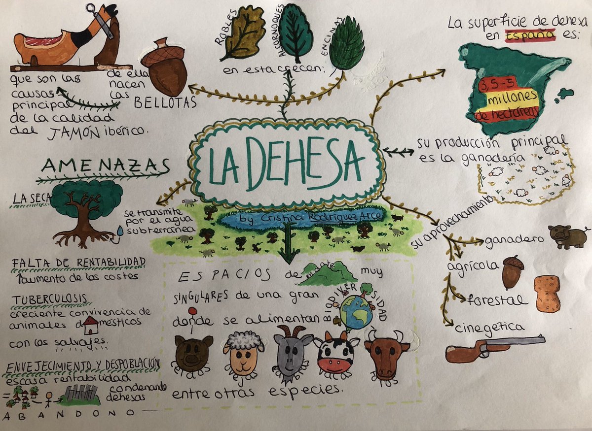 V. Rodríguez Estévez (@vrguezestevez) on Twitter photo Comparto la infografía explicativa de la #dehesa que me regaló ayer mi hija por el día del padre. El mejor regalo que podría haber recibido en plena alerta del #Covid_19 #CoronavirusEspaña <a href="/ganad_extensiva/">Plataforma Ganadería Extensiva y Pastoralismo</a> <a href="/FEDEHESA_/">Federación Española de la Dehesa</a> <a href="/ucocatedrage/">Ganadería Ecológica</a> <a href="/SOSdehesa/">Sos Dehesa</a> <a href="/DEHESAMONTADO/">PRODEHESA MONTADO</a> <a href="/SEEPastos/">SEEPastos</a> <a href="/eldehesafio/">El Dehesafío</a> Comparto la infografía explicativa de la #dehesa que me regaló ayer mi hija por el día del padre. El mejor regalo que podría haber recibido en plena alerta del #Covid_19 #CoronavirusEspaña <a href="/ganad_extensiva/">Plataforma Ganadería Extensiva y Pastoralismo</a> <a href="/FEDEHESA_/">Federación Española de la Dehesa</a> <a href="/ucocatedrage/">Ganadería Ecológica</a> <a href="/SOSdehesa/">Sos Dehesa</a> <a href="/DEHESAMONTADO/">PRODEHESA MONTADO</a> <a href="/SEEPastos/">SEEPastos</a> <a href="/eldehesafio/">El Dehesafío</a>