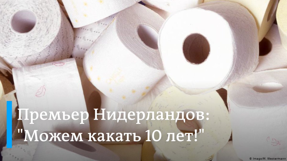 изобретение бумаги в древнем китае. когда подешевеет бумага. когда появилась первая бумага. коллекция видов бумаги. дерево из бумаги.