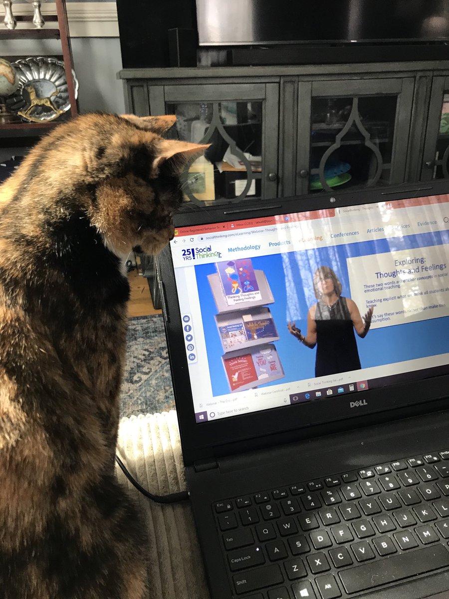 WESpreschool's tweet photo. We are currently in the pet unit. Ms Atwell is showing her students the importance of doing her school work with her best buddy.   Looking forward to her grooming her pet picture. ⁦@rgensel1 ⁦@ToniGooding⁩ https://t.co/PpH09YPclw