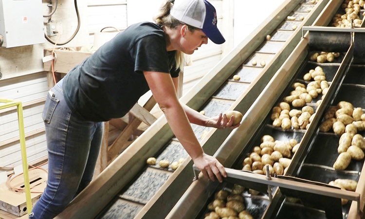 Agproudmary's tweet photo. I’ve been thinking of the ppl we all rely on to keep going to work. Obviously doctors, nurses, grocery store folks &amp; so on. 

BUT also those ppl who are still working to make sure milk, eggs, beef, chicken, seafood, wheat, potatoes, carrots, sweet potatoes, &amp; the list goes on - https://t.co/dHYAtPkAoy