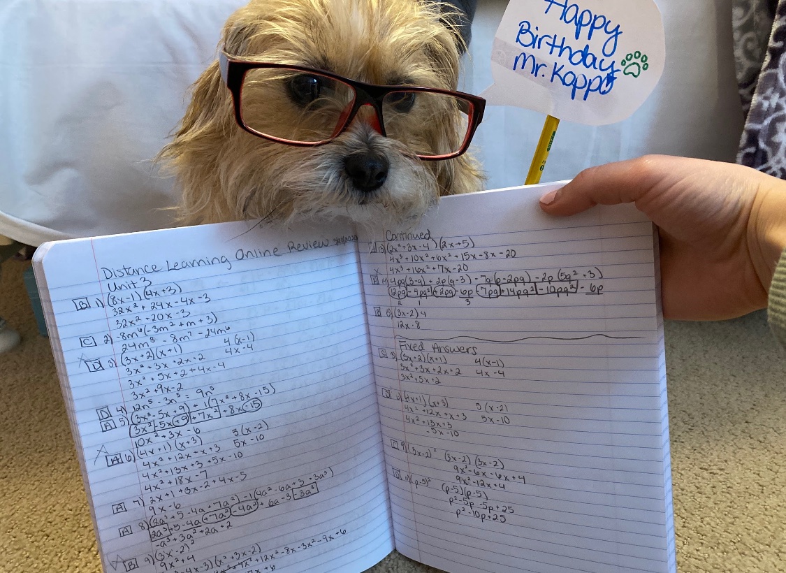 Distance Learning - Day 5. Some of the perks...Dogs...wearing glasses....wishing you a happy birthday...alongside their owner’s Algebra work!!  #remotelearning @SMSHappenings