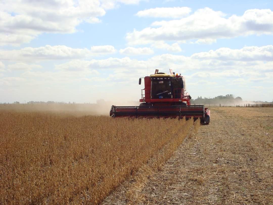 ¿Cómo actuar en la #cosecha 🚜 de granos frente al contexto del #Coronavirus 😷?

Aquí compartimos una guía de recomendaciones para la cosecha y #almacenamiento de #granos elaborada por especialistas del <a href="/intaargentina/">INTA</a>, Universidades y del Sector Privado:
cosechaypostcosecha.org/data/articulos…