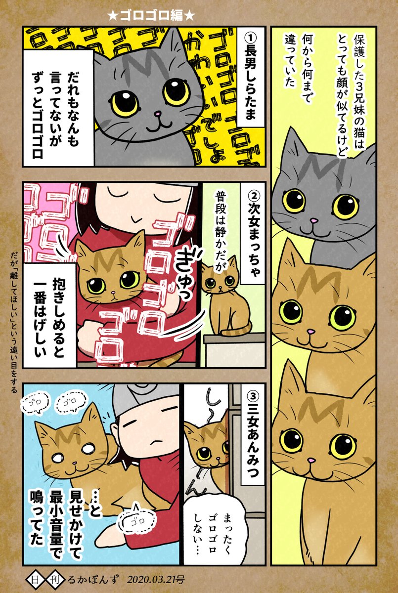 保護猫3兄妹の性格があまりに違う話_②。

#保護猫3兄妹 #猫 #猫漫画 #コミックエッセイ #猫マンガ 