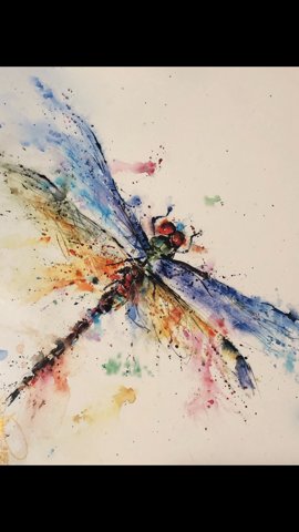 DarrylAndrew3's tweet photo. #codedragonfly https://t.co/fcc4pHE5UT