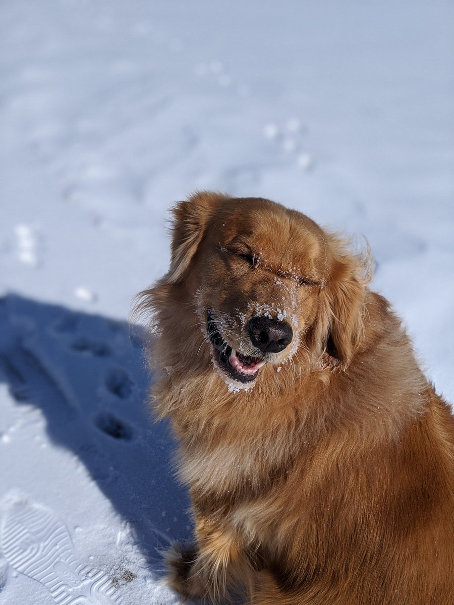 Jordan Robinson tweet media