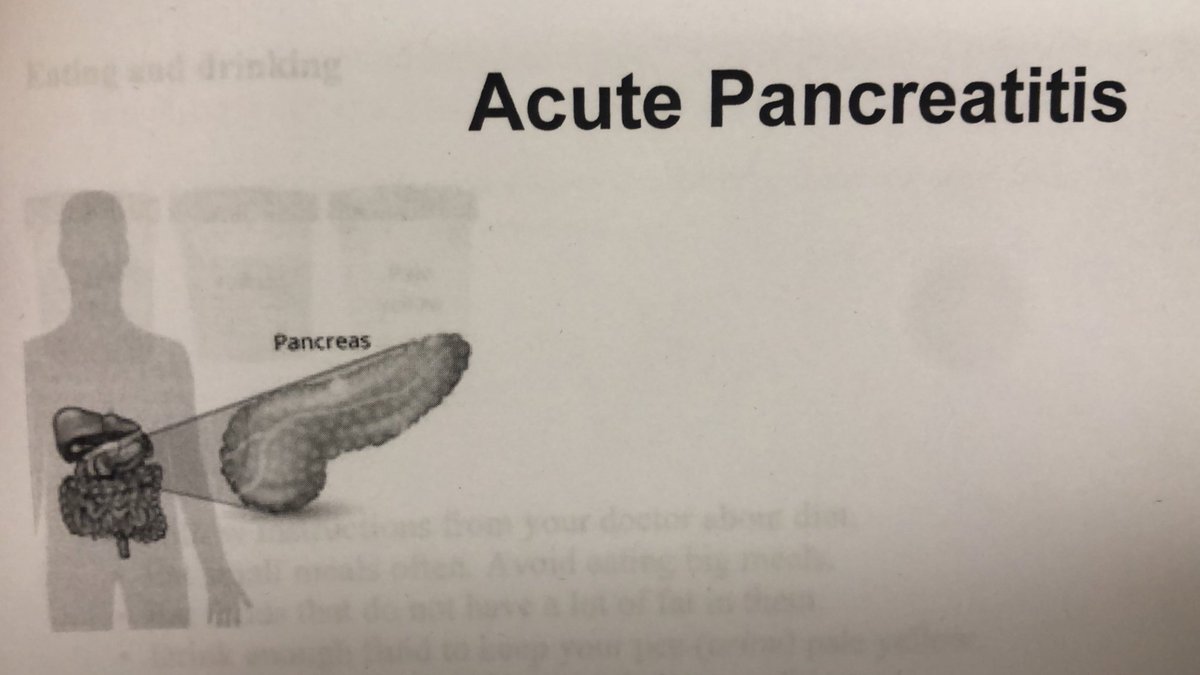 liv_leroux's tweet photo. looks like a pancreas https://t.co/70wDnwjEdN