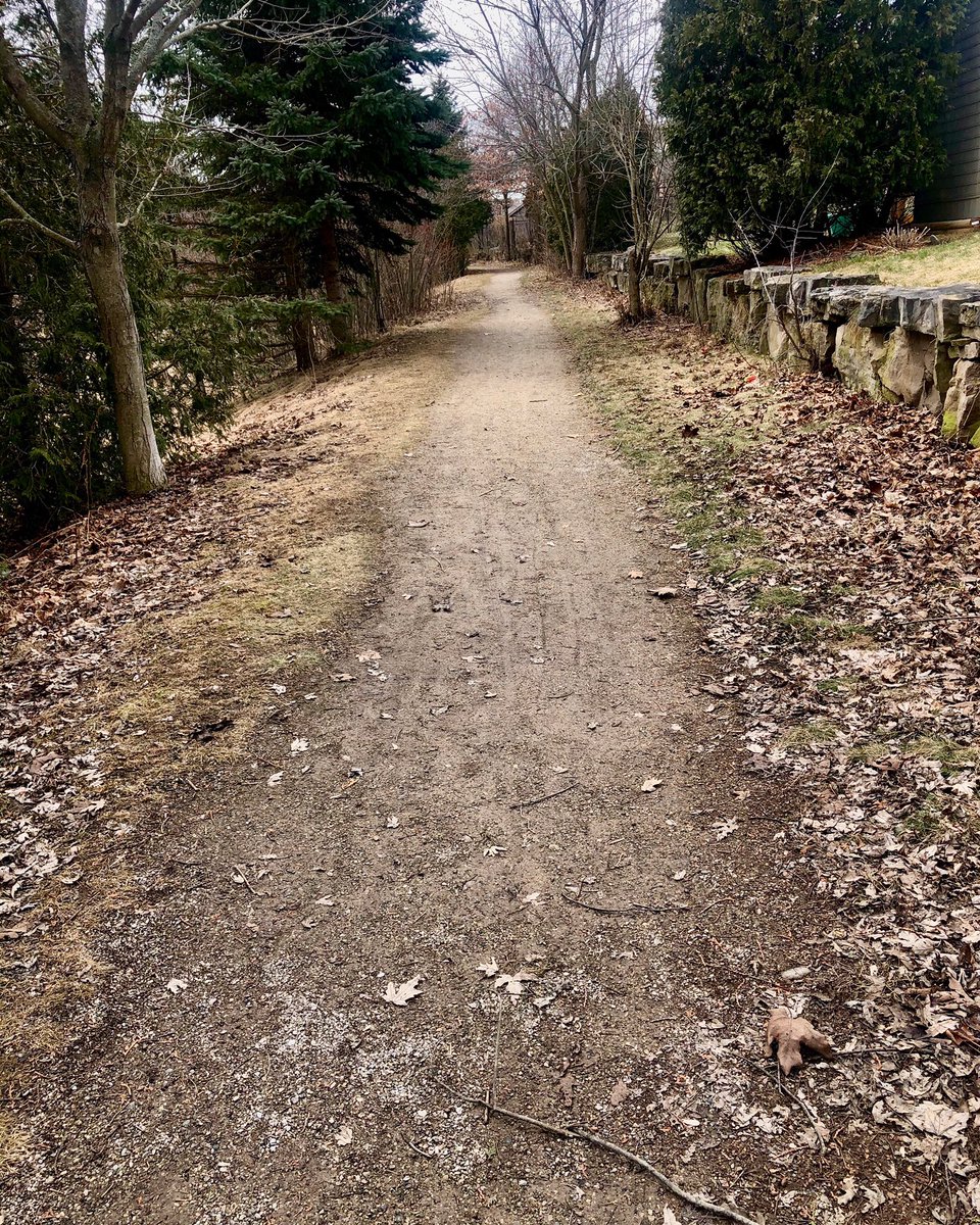 uprunningguelph's tweet image. Guelph’s amazing network of trails means we don’t have to go far to find some solitude in nature. We encourage you during this time to explore what may be hidden just a few steps away in your own backyard!⁣
⁣
#SoloButSocial #TakingStepsTogether #ApartButTogether