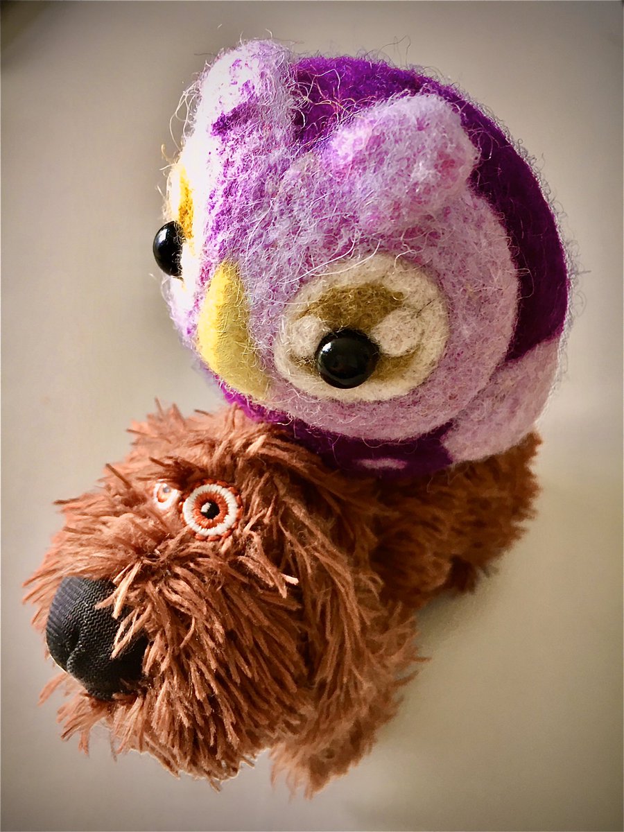 frlhoernchen's tweet image. Nachmittagsausritt #petcontent