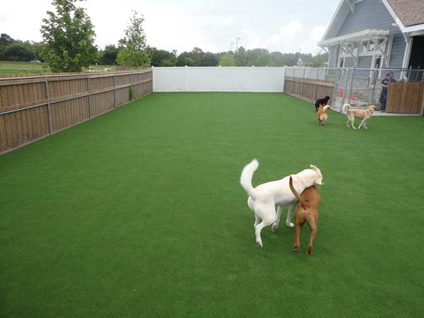 SoutheastTurf's tweet photo. Benefits of EnviroFill®:
- 100% natural and listed as organic
- Safe for both kids and pets
- Strong absorption rates to remove tough odors
- Matches brown thatch in artificial grass
- Will not clog turf drainage holes
- Eight-year warranty against deterioration https://t.co/m1ZDaK5eNd
