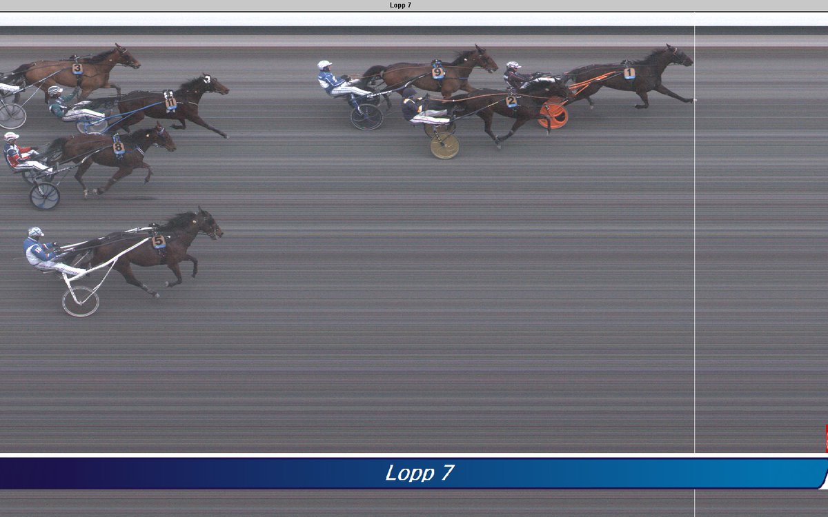Solvalla's tweet photo. Här hittar ni målfoton från dagens lunchtävlingar: https://t.co/BH8PTgk3Y5 https://t.co/FF2tWqY0f2