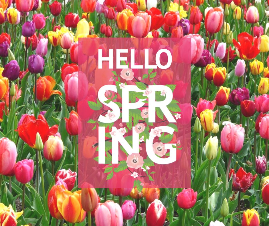 Hello Spring! 🌷