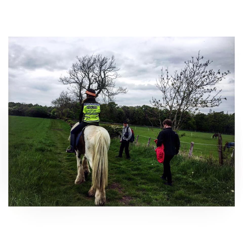 Blackbird: A Story on Lyme Disease tweet media