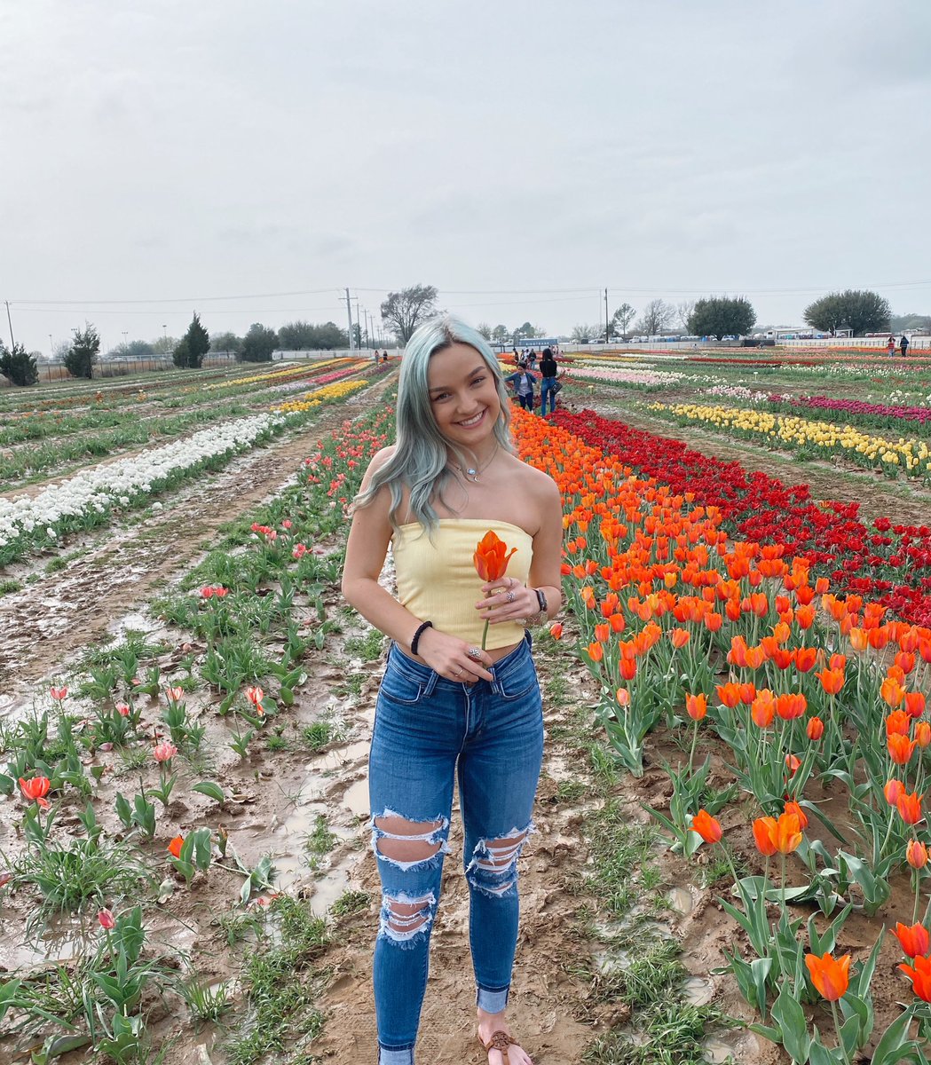 emilysutton06's tweet photo. 🌷🌼💐🌸 https://t.co/PabpNHZKHZ