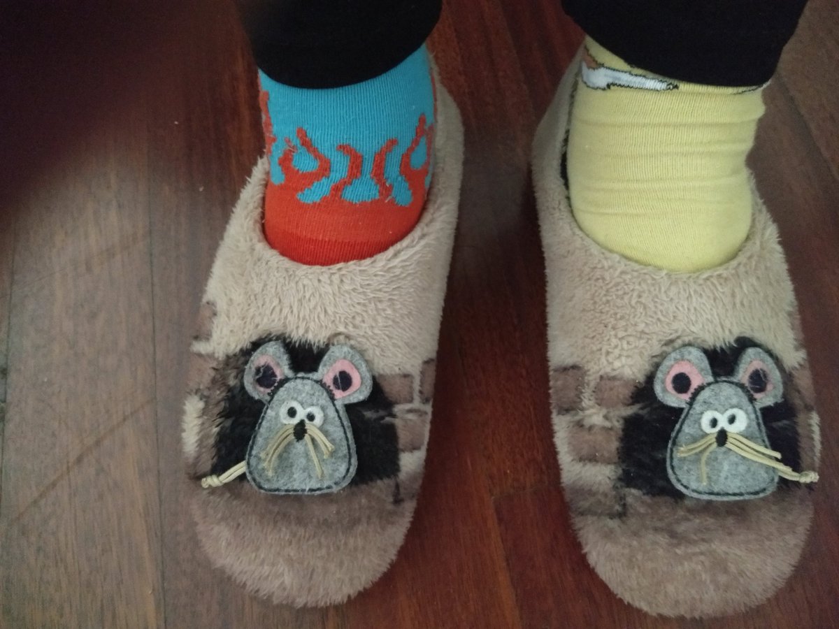 Fina Rodríguez tweet media