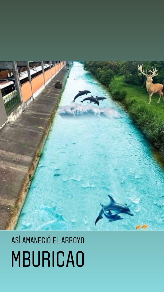joseswimboy's tweet photo. Así amaneció el arroyo mburicao 😱 https://t.co/gCsKRefNZN