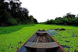 yevgenbrasil's tweet photo. El itinerario “Maravillas de Brasil” ofrecido por @catai es de las mejores opciones para descubrir este magnífico país. Empezando por Río de Janeiro descubriremos la naturaleza del Amazonas, finalizando en Salvador de Bahía la ciudad del color y las tradiciones #1GIATporelmundo https://t.co/2qpLJatEPI
