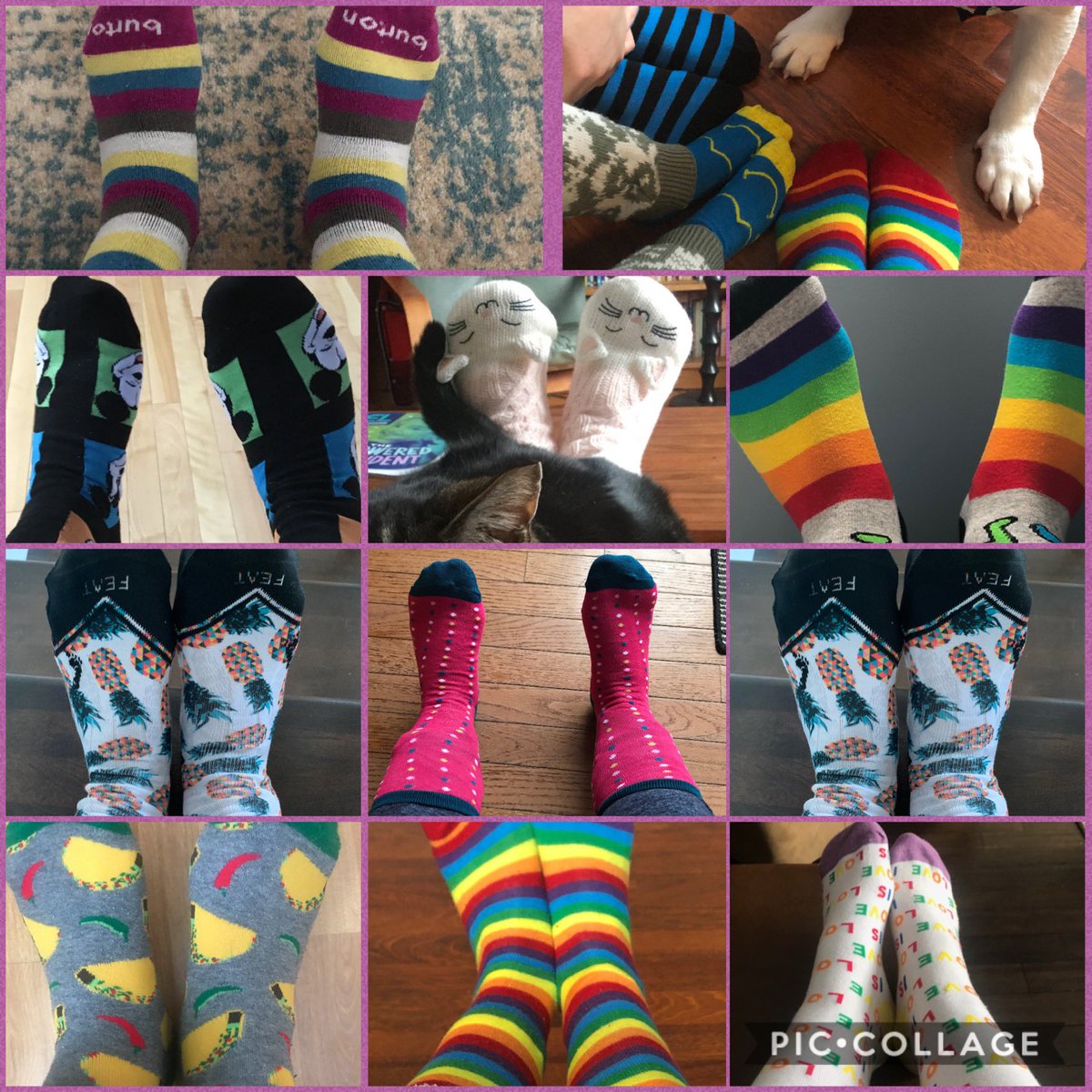 Grade5Woolgar's tweet photo. Team SIS has socks for dayzzzz for @WDSD_RAC_COSMO #worlddownsyndromeday @NLESDCA @cd_stokes @MrChurchillNL @FowlerAmanda @WebbEd_NL @CharmaineHamlyn @therobinsonread @sdcdhogg https://t.co/i4qLiBRBq8