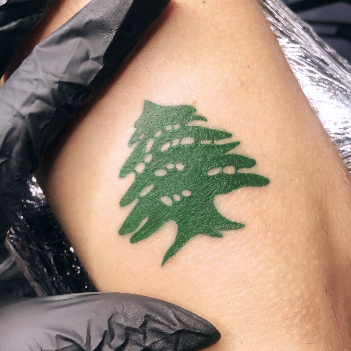 Cedar Tree Tattoo Lebanon Best Tattoo Ideas