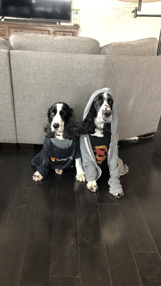 mattpotere's tweet photo. This is a generation defining moment &amp; we need to support each other. Buy gift cards to restaurants, salons, &amp; services (childcare, classes). @SunlightLoans is supporting small biz (&amp; having fun) by awarding gift cards to teammates w/our daily WFH contests. Best dressed pets... https://t.co/7dCbLzP6Za