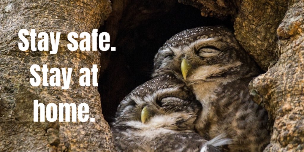 Supreme Masters (@suprememasters) on Twitter photo #StayHealthy #StayHealthy