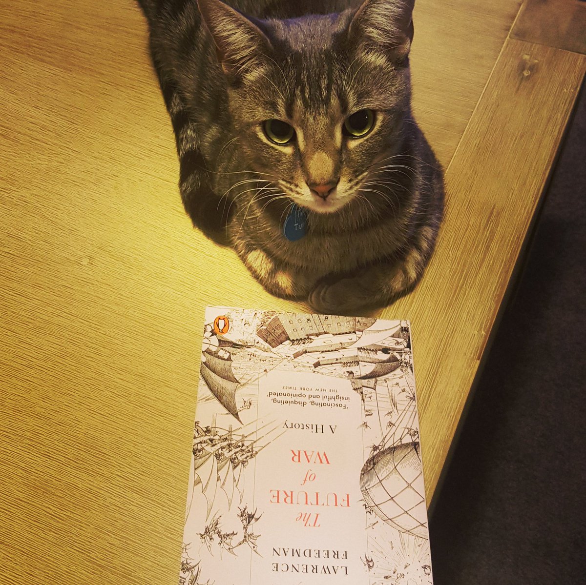 GroundCuriosity's tweet photo. Only 2 days to go in the GC book giveaway comp. To enter:
1. Share a photo of your pet and their favourite PME source
2. Tag @groundedcuriosity 
3. Use the #PetsofPME 
Winner announced this Monday 24 Mar 20
#dogsofwar #combatcats #fightingfish #competition
https://t.co/onGlp0ttDk https://t.co/tSY1vlZ7cS
