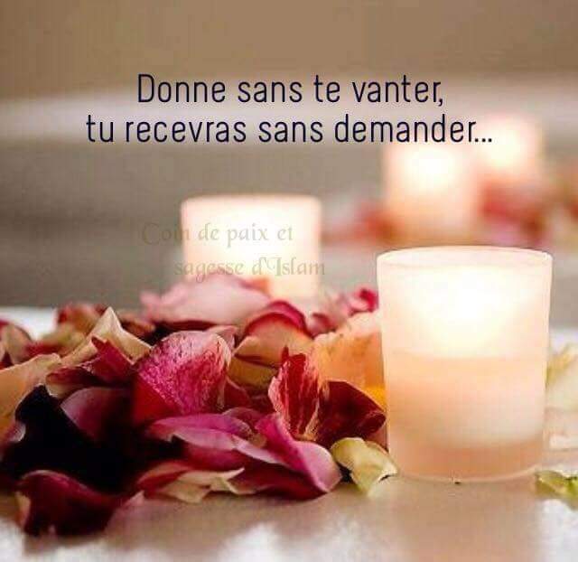 Koubaa Tami Tamikoubaa Twitter