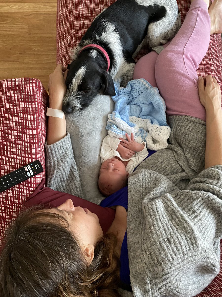 Helen Wyman tweet media