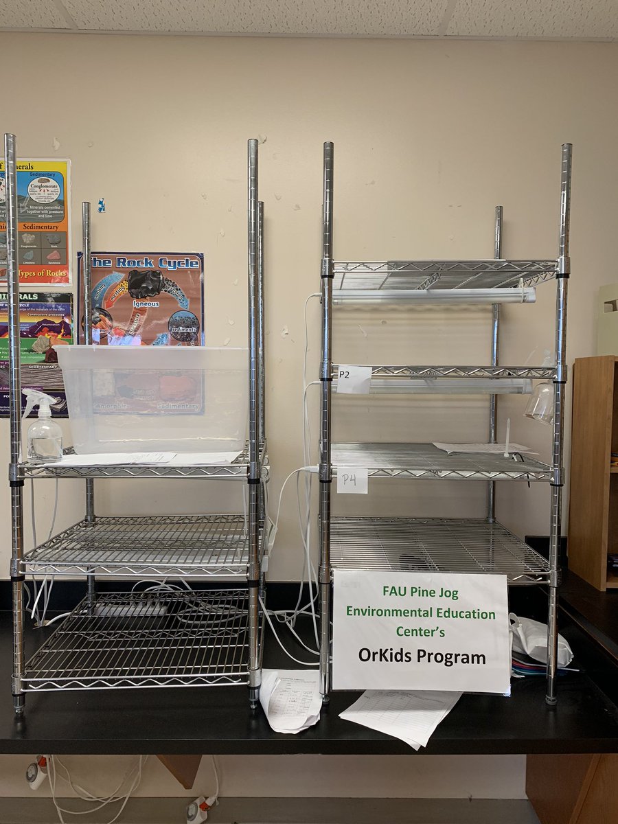 MrsAtkinsTMS's tweet photo. Before: all of our awesome experiments!! After: orchids going back to @Pinejog and @ExploringPlants #GrowingUnderTheRainbow mint cuttings coming to my house. Everything will be ready for our return! I already miss my classroom. @TradewindsMS @pbcsd #SharePBCSD https://t.co/rtDhXepa0k