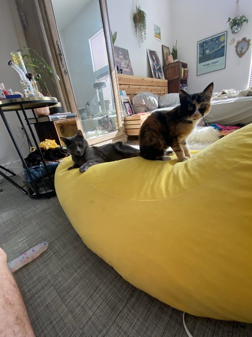 #CoronaCrisis https://t.co/x3N6fgp8zY<a href="/tag/coronacrisis"class="tags">#CoronaCrisis</a>