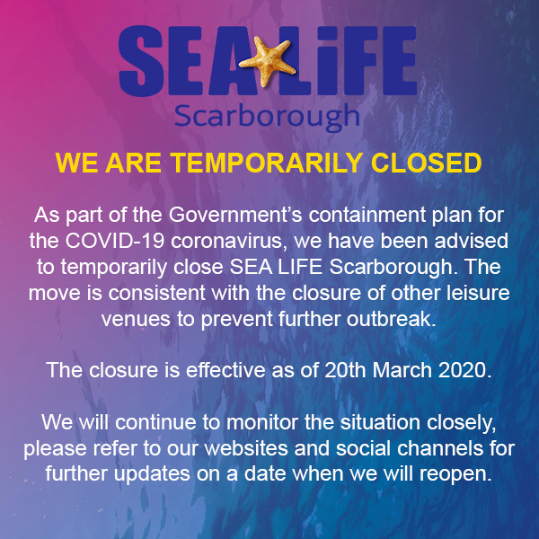 ❗IMPORTANT INFORMATION FOR OUR GUESTS❗