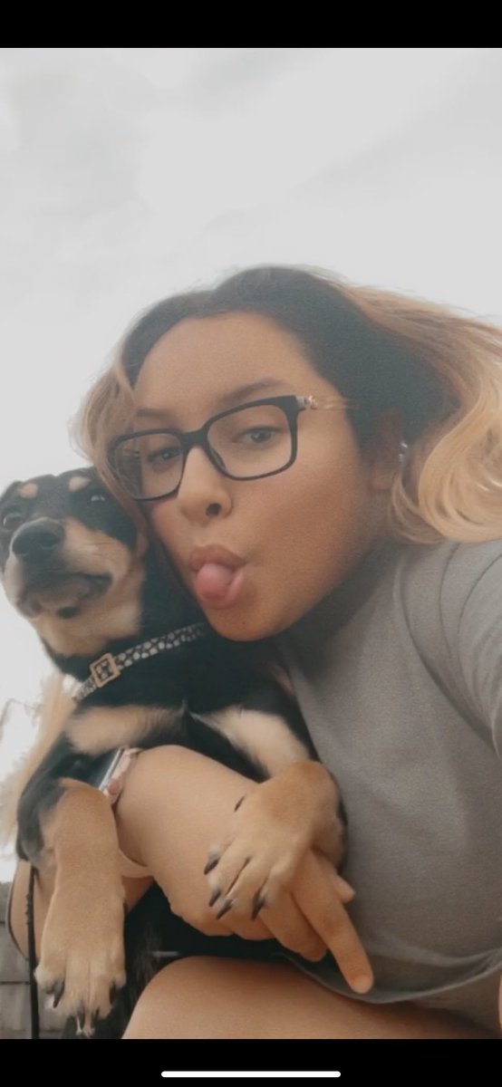 AlefromtheH's tweet photo. Meet Bella 🖤 #Jackpets https://t.co/wrtMBKNx1N