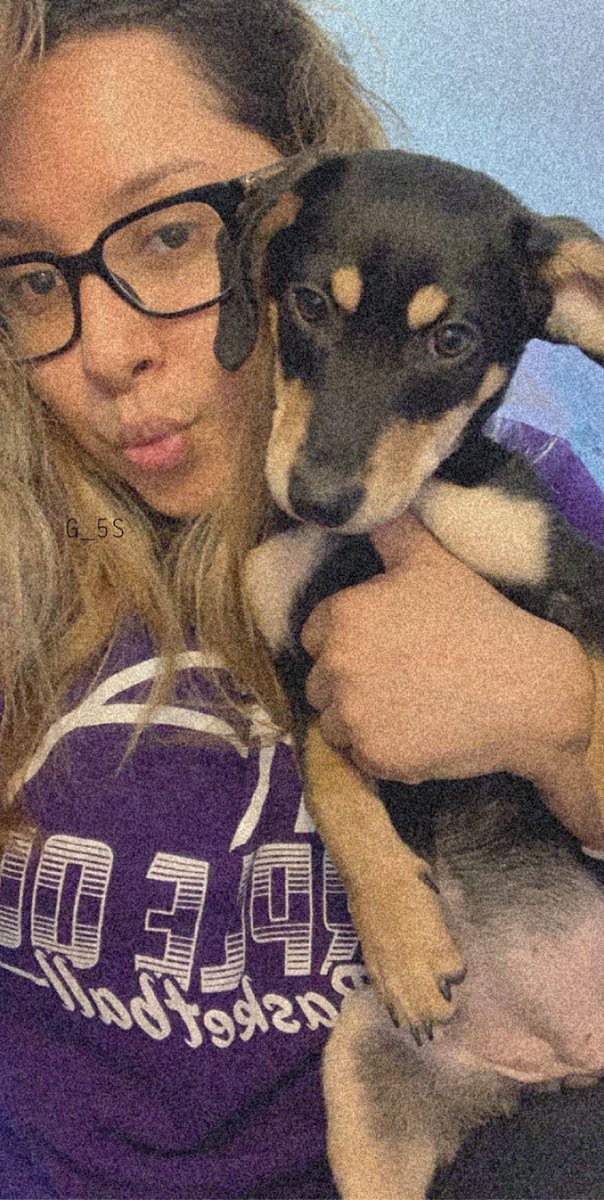 AlefromtheH's tweet photo. Meet Bella 🖤 #Jackpets https://t.co/wrtMBKNx1N