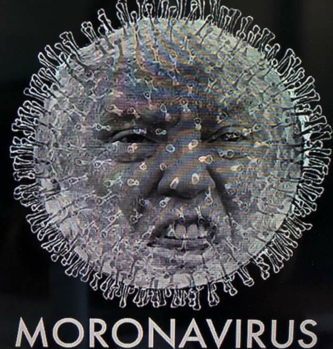 @TrueFactsStated @ShannonSL_ #MoronAVirus45