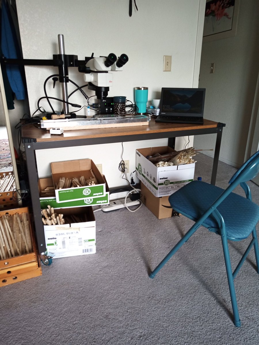 When furnishing my room I never thought about adding a scope and hundreds of samples but it's a look I'm beginning to like! #ScienceFromHome #laboutpost #keepingsafe