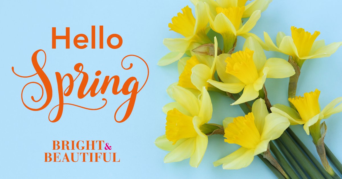 Bright&Beautiful HQ tweet media