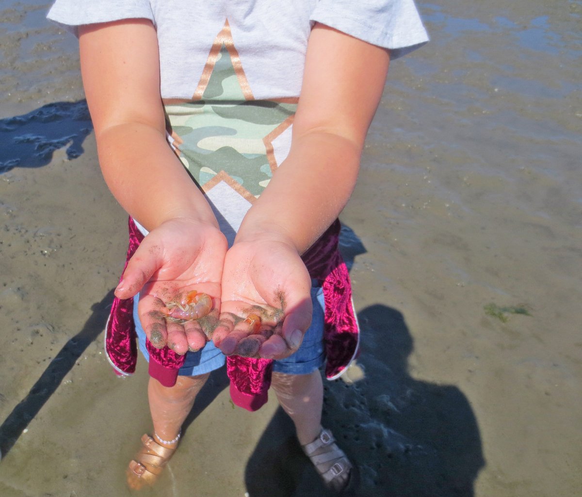 Did you know there are over 470 #CitizenScience projects in Oregon that kids &amp; families can participate in? Find them <a href="/SciStarter/">SciStarter</a>'s website: scistarter.org. #STEMathome #remotelearning #ParentingInAPandemic