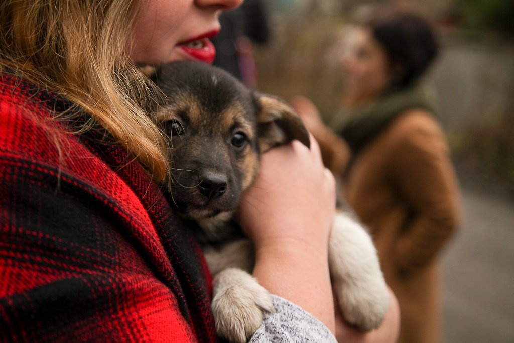 ‼ Туляков просят помочь кормом тульскому приюту для бездомных собак 🐕

В питомнике «Континент+» сейчас содержится около тысячи животных.