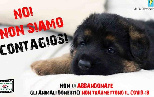 nicodemodani's tweet photo. NON LI ABBANDONATE! NON SONO CONTAGIOSI! https://t.co/FbFE1qt9OD https://t.co/2tKqolbKEG