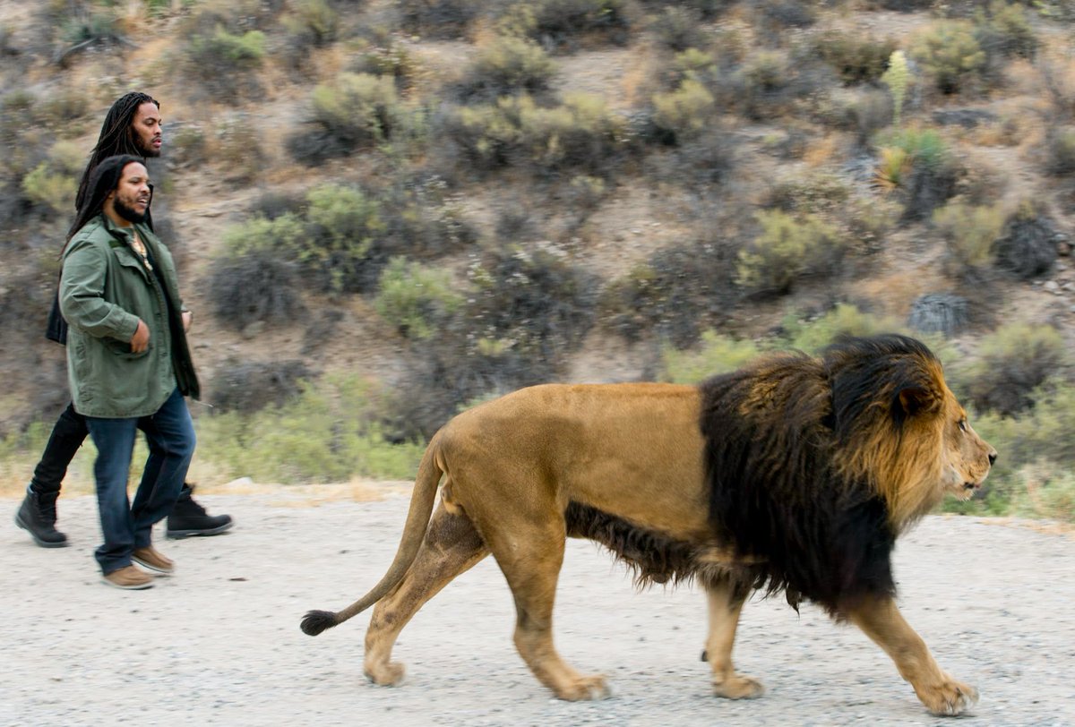 Stephen Marley tweet media