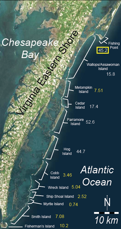 Justin Shawler (@justinshawler) on Twitter photo Chloe Obara (<a href="/chloe_obara/">Chloë Obara</a>) tells #GSAgeocoast session about the historical progradation of Assateague Island, Virginia. In just ~120 years the spit end has prograded over 2.5 km!! Co-authors: <a href="/JConnell3/">Jennifer Connell</a> <a href="/justinshawler/">Justin Shawler</a> <a href="/coastalgeology/">Christopher Hein</a> Chloe Obara (<a href="/chloe_obara/">Chloë Obara</a>) tells #GSAgeocoast session about the historical progradation of Assateague Island, Virginia. In just ~120 years the spit end has prograded over 2.5 km!! Co-authors: <a href="/JConnell3/">Jennifer Connell</a> <a href="/justinshawler/">Justin Shawler</a> <a href="/coastalgeology/">Christopher Hein</a>