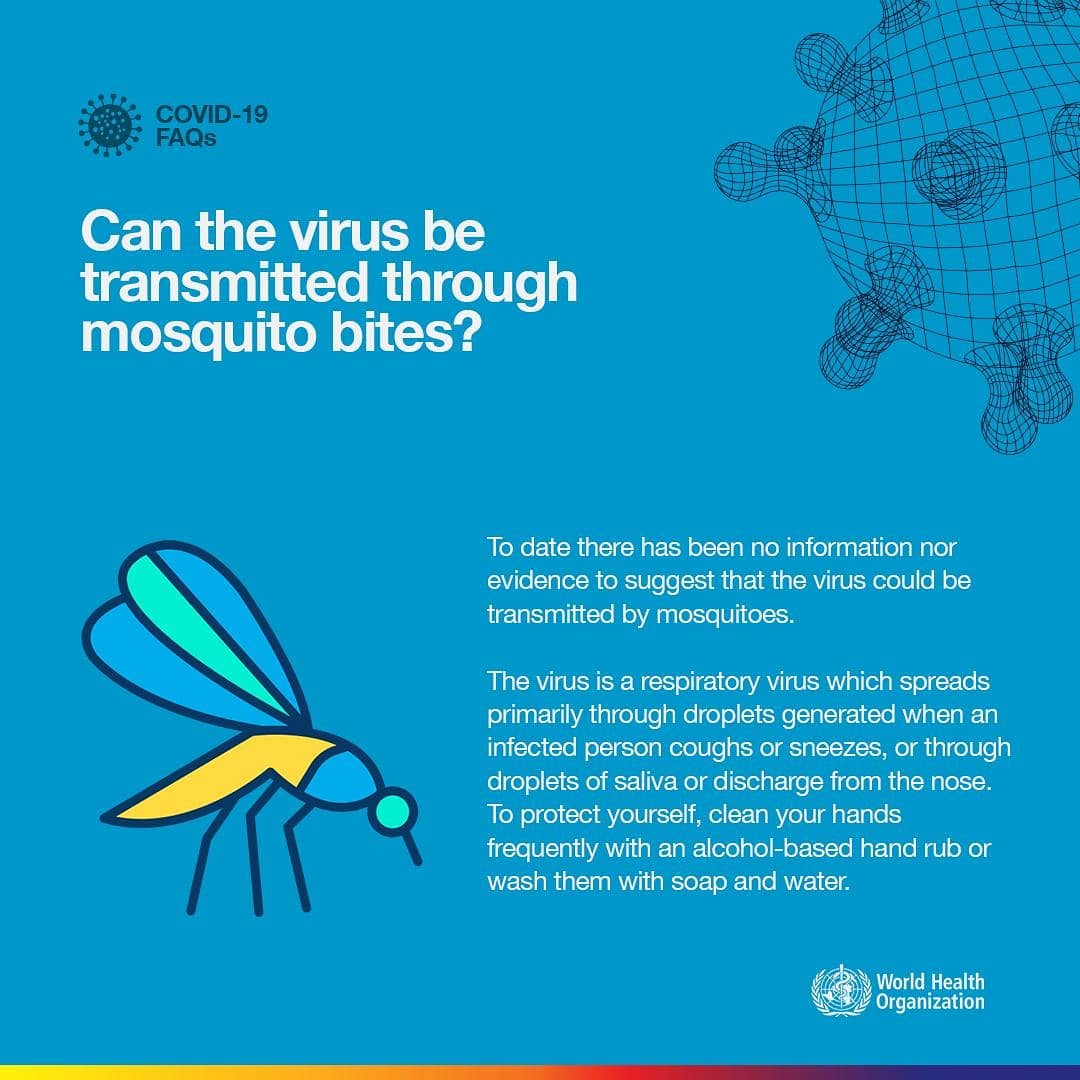 MakeMeSalon's tweet photo. A lot of Overload information on Covid-19.
 We’d like to help reduce panic by bursting some myths you might have heard. RT or Share to save a life.

#COVID19NIGERIA #makemesalon #WHO https://t.co/pdnadUgc7P