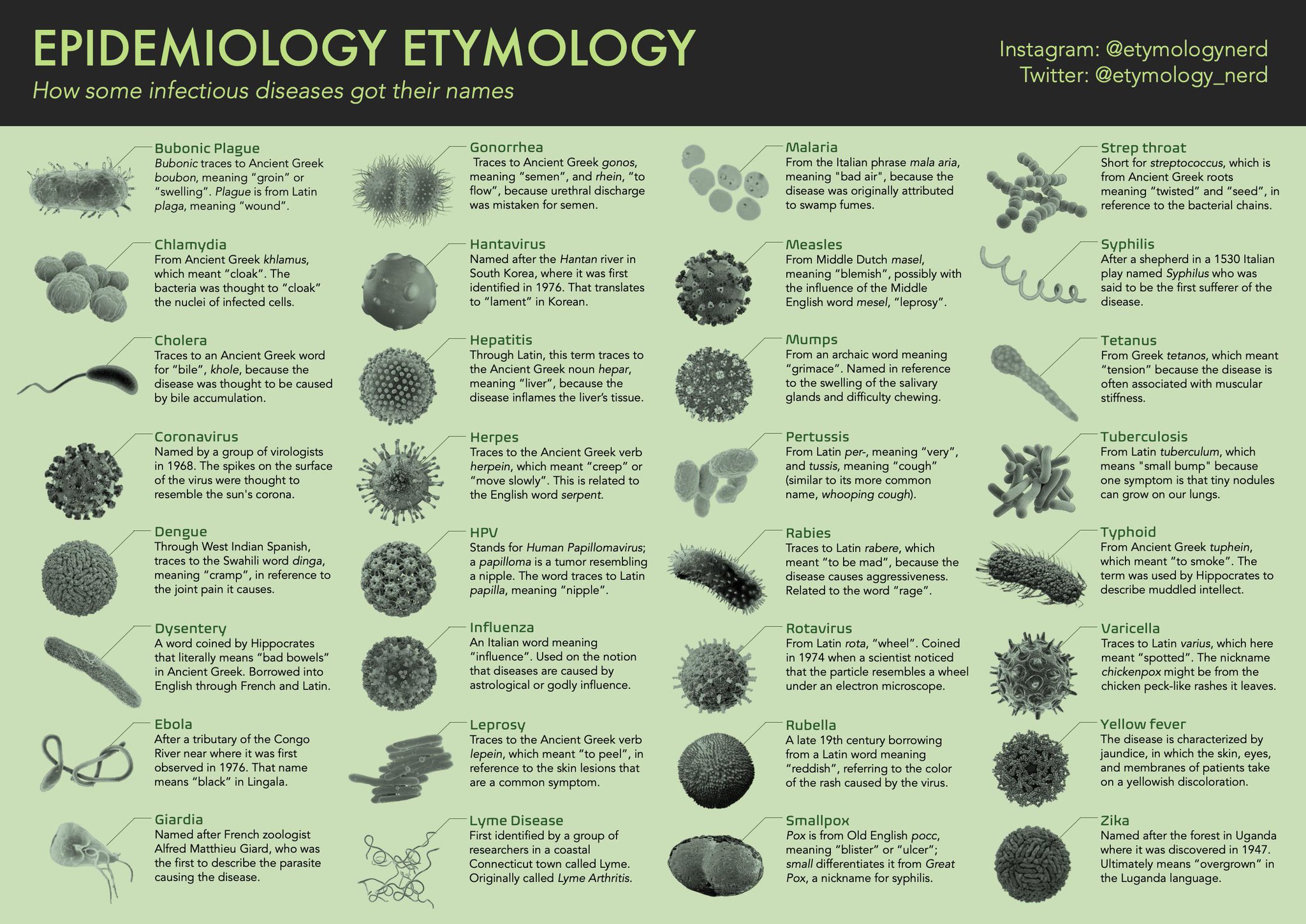 giardia meaning greek)