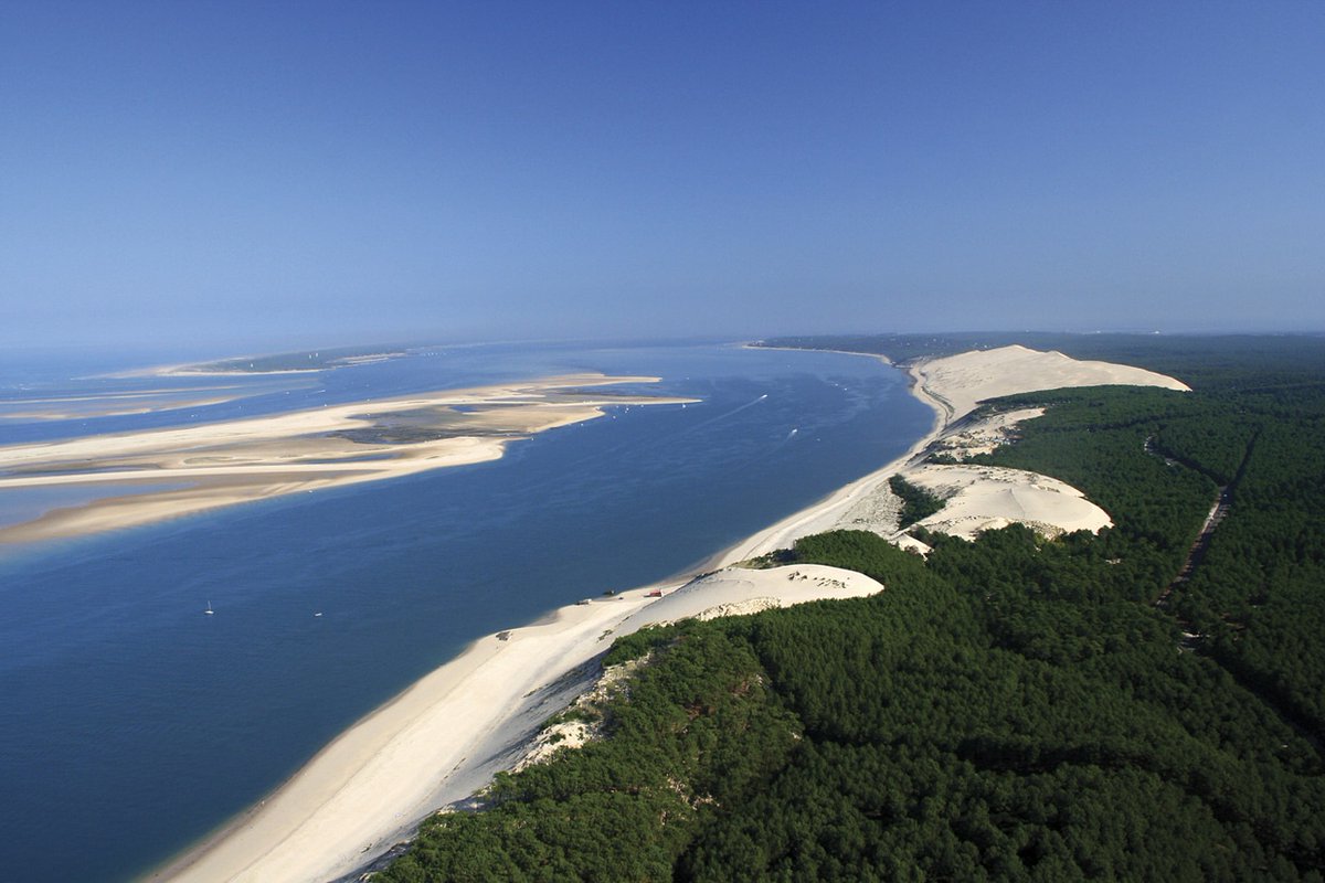 BordeauxTourism's tweet photo. Face à l’épidémie de Covid-19, pas question de mettre un pied dehors ! Voici notre sélection d’idées pour profiter de #Bordeaux chez soi 😇
👉Lire l'article : https://t.co/X6KA2KDk0H https://t.co/rT5LCMf85W