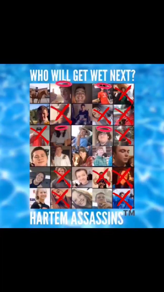 AssassinsHartem's tweet photo. Current status https://t.co/73N5rTayWU