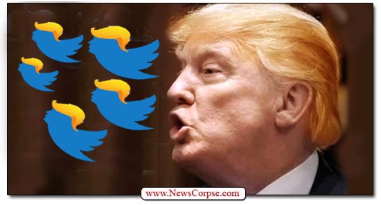 @M2Madness @realproudmom2 Yep M3thods & ><>
The Twitter Bird Prophecy ><>
Is Helping out with That ><>

Ecc 10:20 ><>
For a Bird of the Air ><>
Shall Carry the Voice ><>
& That which Hath Wings ><>
Shall Tell the Matter ><>

@POTUS 4+10+20 Rules Her !!!!!X!!!!!